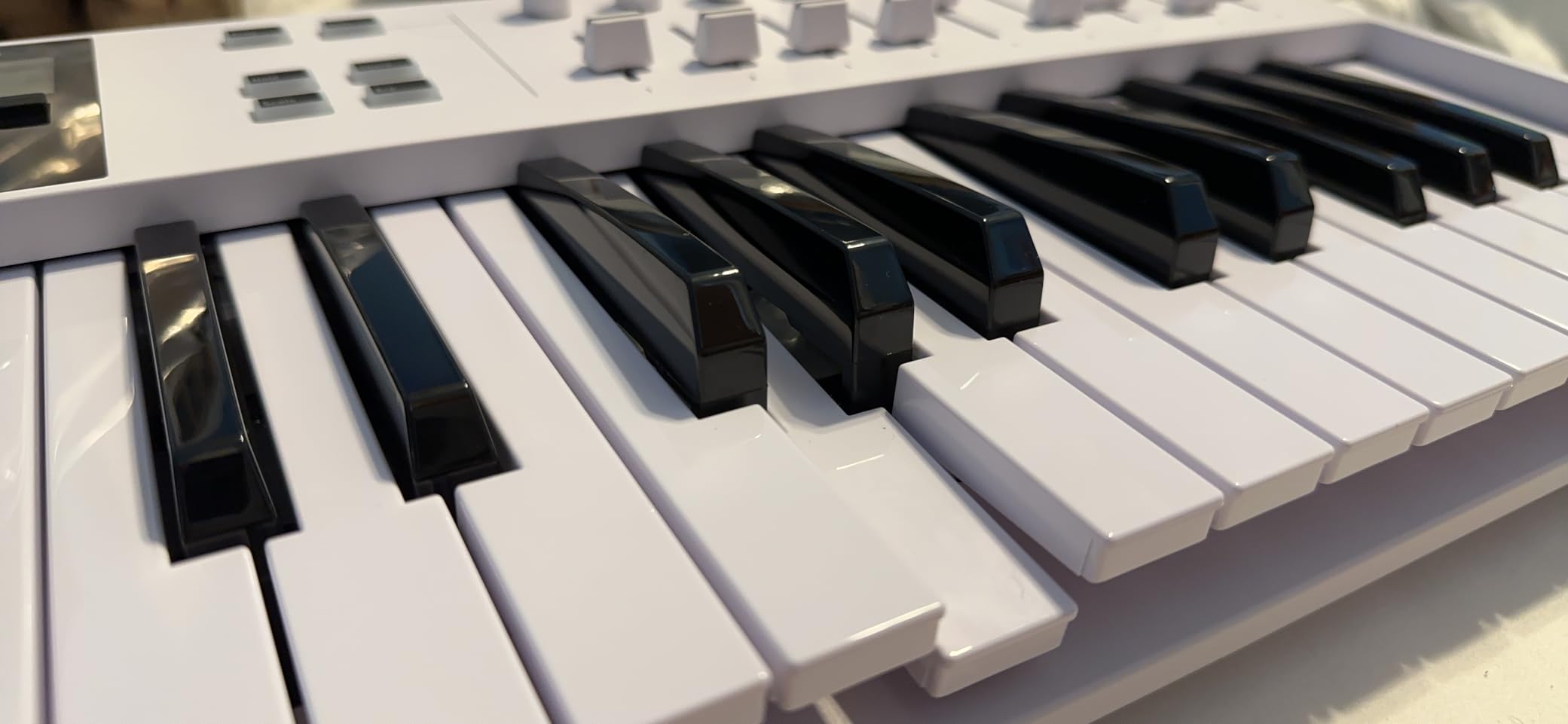 Arturia KeyLab Essential mk3 49 Key USB MIDI Keyboard Controller customer photo 1