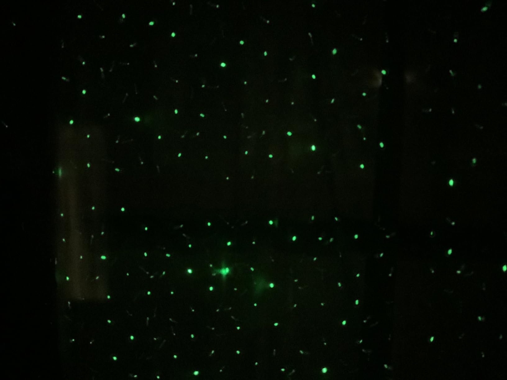 Laser Christmas Projector Lights Outdoor, Firefly Light Show for Trees | 3 Colors,RF Remote,Waterproof,Indoor Holiday Halloween Decoration,Christmas Gift,Wedding,Home Decor,Party,Garden customer photo 1