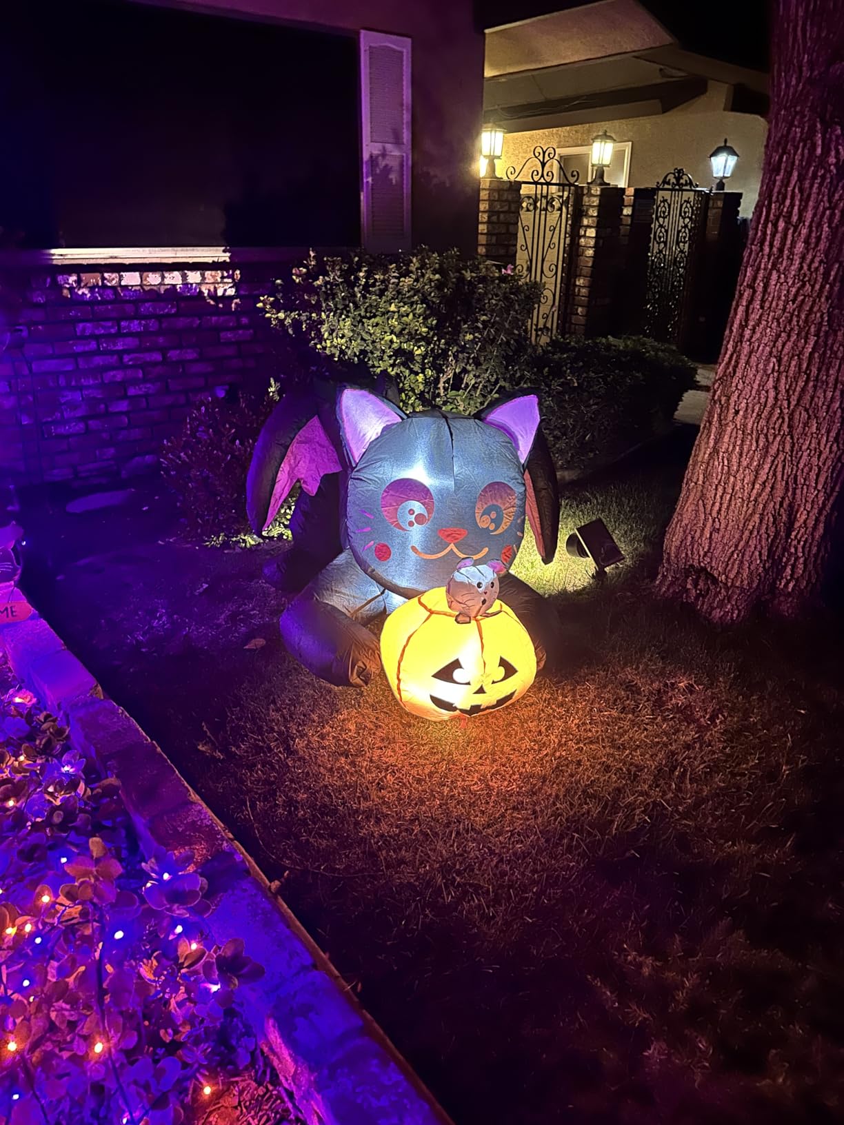 COMIN 5 FT Halloween Inflatables Cat with Pumpkin Outdoor Decorations | Built-in LED lights, blow-up decoration for Halloween parties, yards, gardens, and lawns customer photo 1
