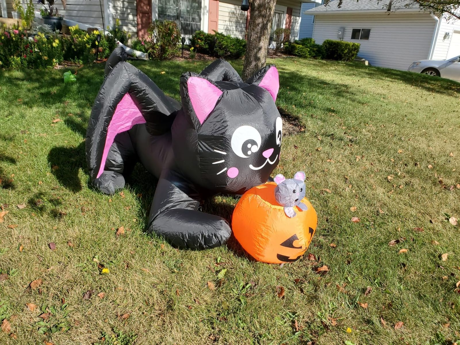 COMIN 5 FT Halloween Inflatables Cat with Pumpkin Outdoor Decorations | Built-in LED lights, blow-up decoration for Halloween parties, yards, gardens, and lawns customer photo 2