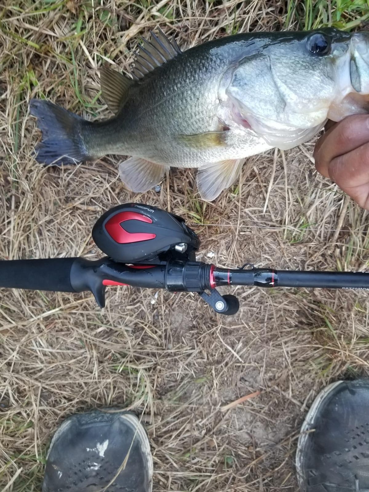 Piscifun Torrent Fishing Rod, IM6 Carbon 2-Piece Baitcaster & Spining Rod customer photo 1