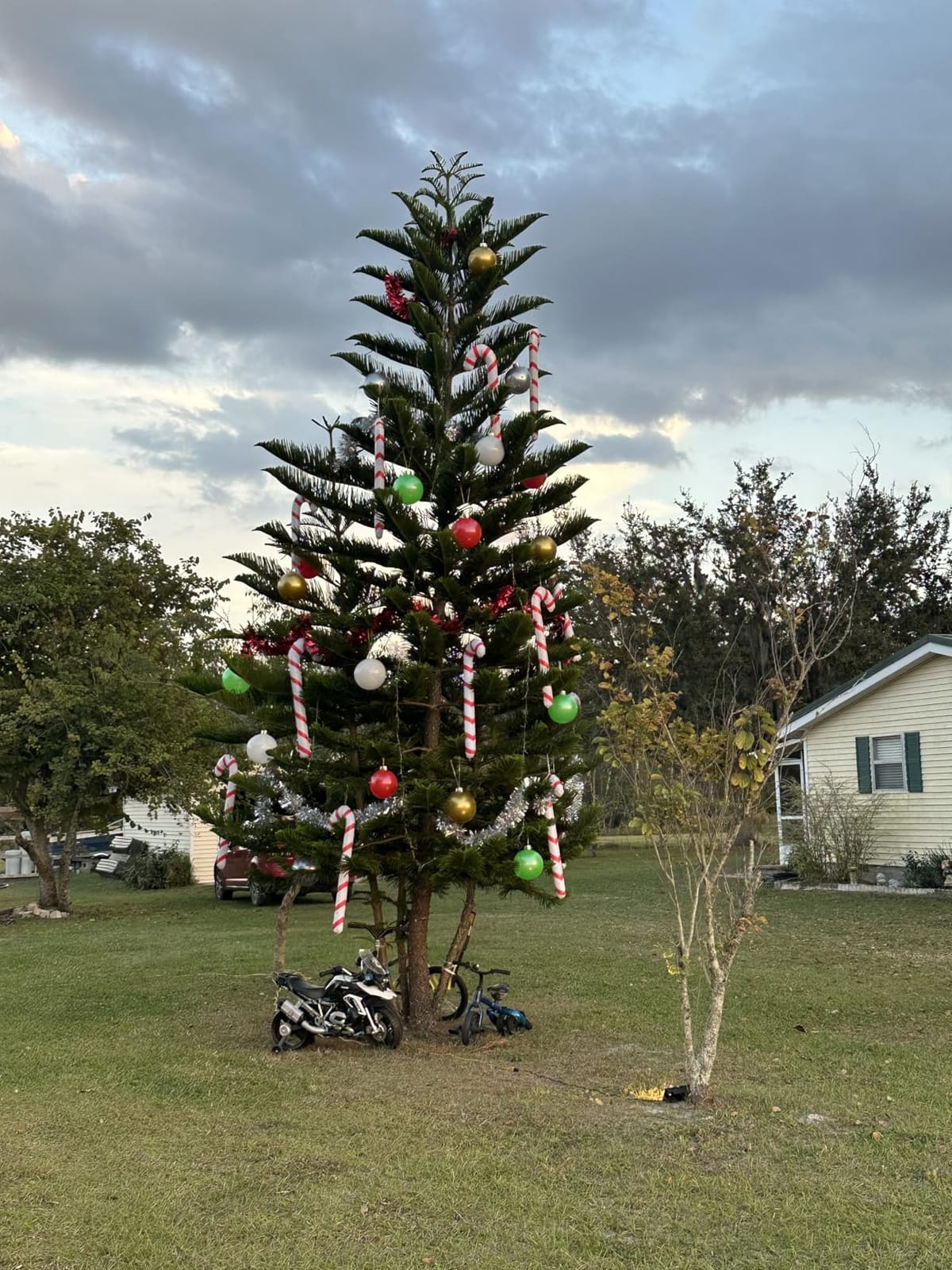 Inflatable Christmas Ornaments Balls, 9'' Indoor and Outdoor Decor | Large Inflatable Xmas Balls, Holiday Decorations Yard Tree Decoration customer photo 1