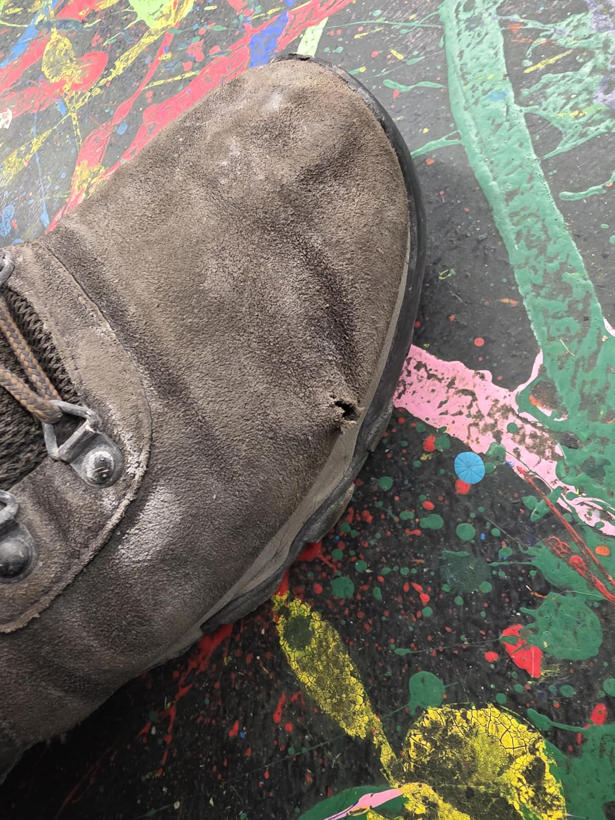 Columbia Newton Ridge Plus II Suede Waterproof | Hiking Boots customer photo 2