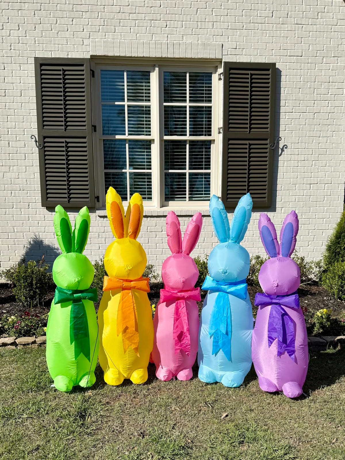 KOOY 6FT Long Easter Inflatables Outdoor Decoration Five Colorful Bunny, Built in LED Lights Blow Up Yard Decoration for Lawn Garden Holiday Party customer photo 2