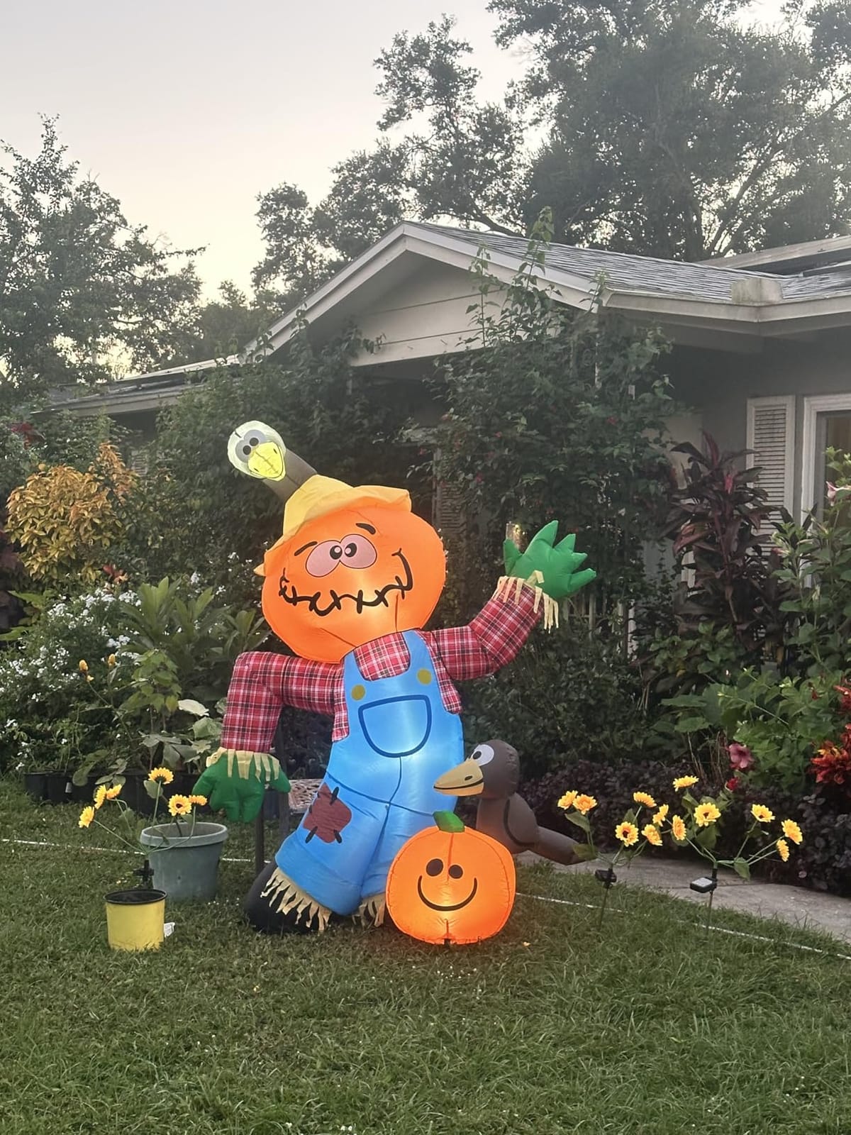 COMIN 6FT Thanksgiving Inflatables Fall Harvest Scarecrow Outdoor Decor | Built-in LEDs and fall harvest scarecrow with crows and pumpkin for Thanksgiving lawn, garden, porch and party displays customer photo 1