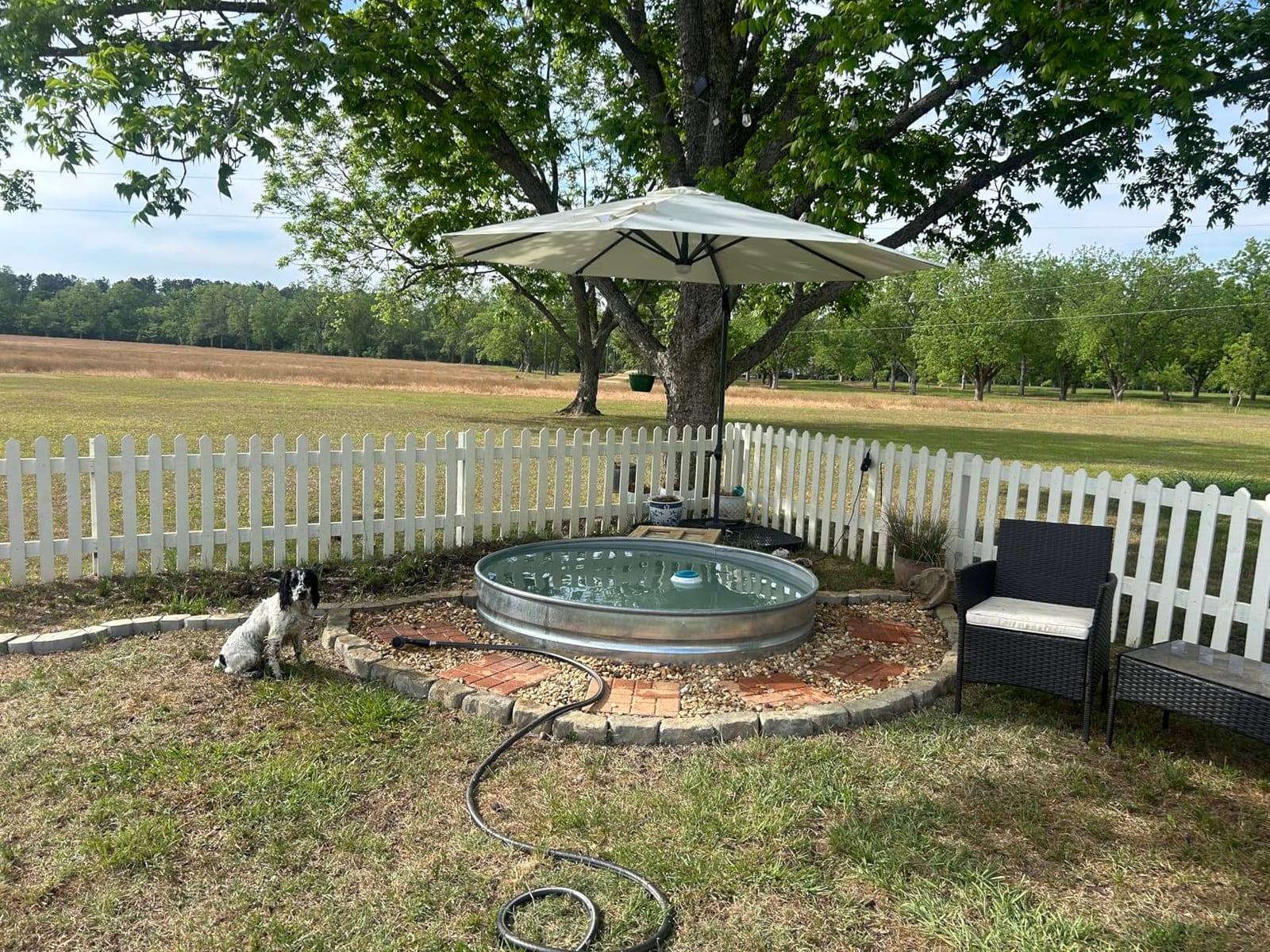 Best Choice Products 10ft Solar LED Cantilever Patio Umbrella, 360-Degree Rotation Hanging Offset Market Outdoor Sun Shade for Backyard, Deck, Poolside w/Lights, Easy Tilt, Cross Base - Seaglass customer photo 1