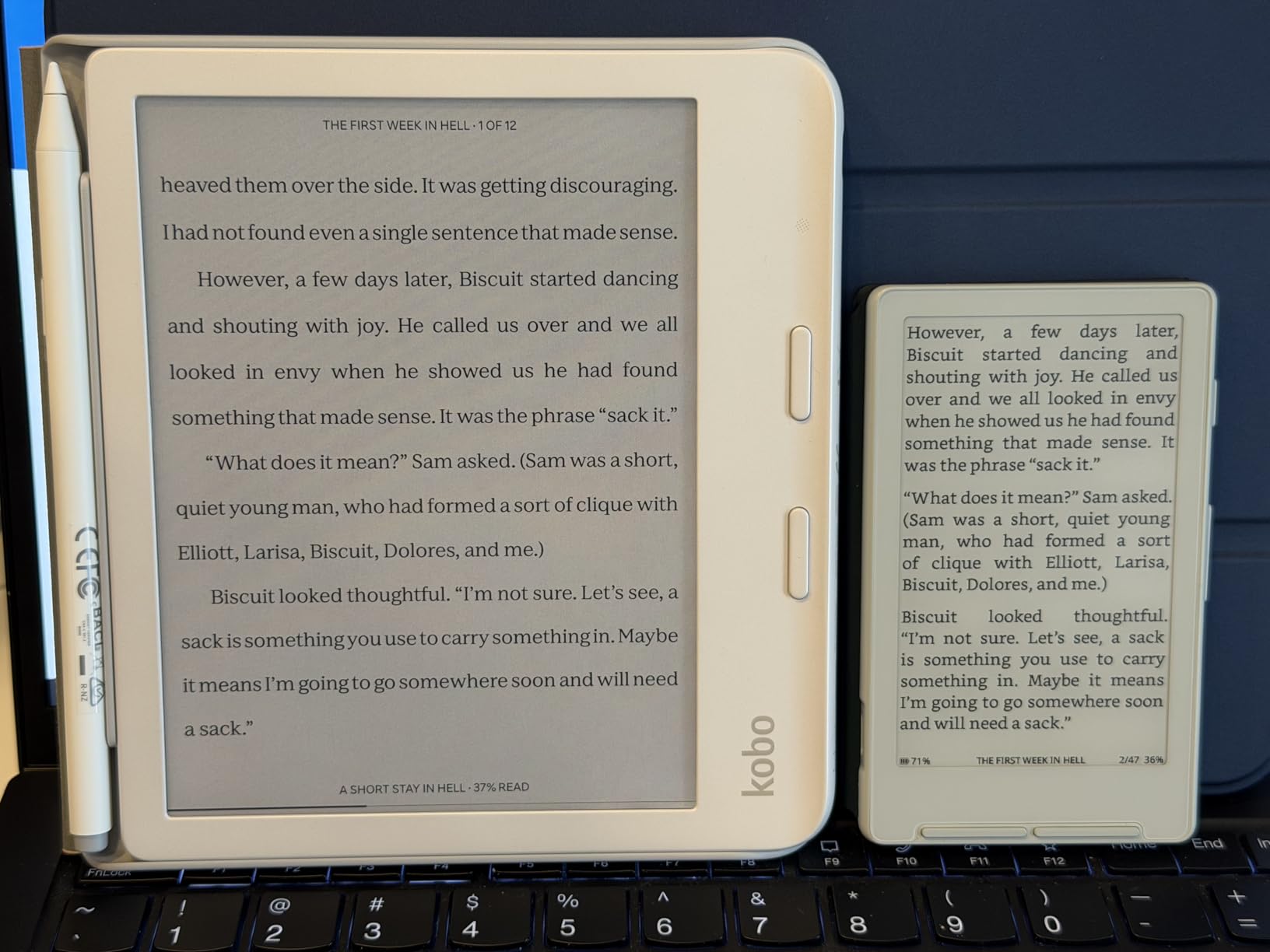 Kobo Libra Colour eReader, 7” Color E Ink, Waterproof, White customer photo 2