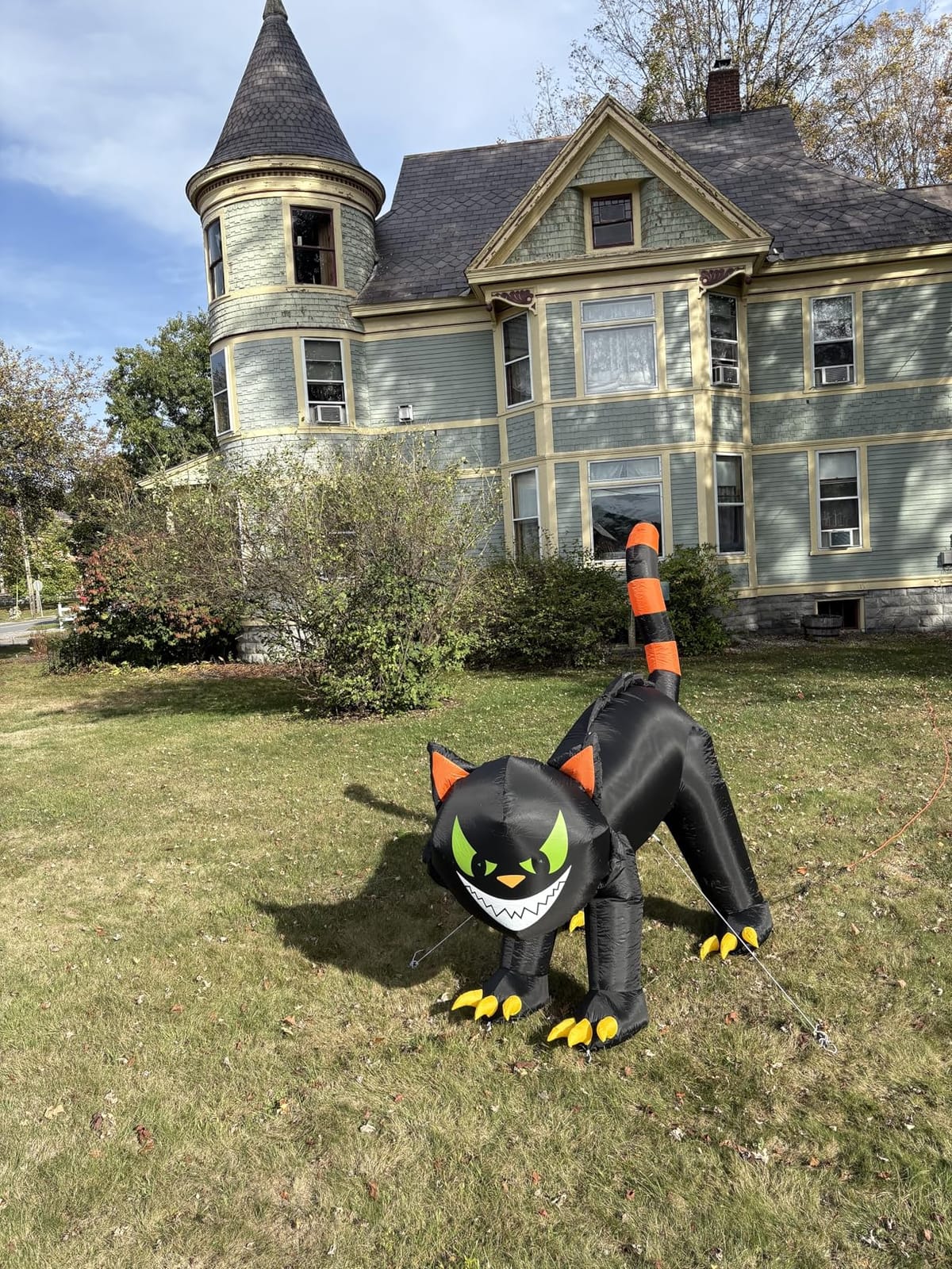 Joiedomi 7 ft Halloween Inflatables Outdoor Decoration, Blow Up Black Cat Inflatable with Moving Head & Green Eyes, Halloween Blow Ups Yard Decoration with LED Lights for Party Lawn Garden Decor customer photo 1