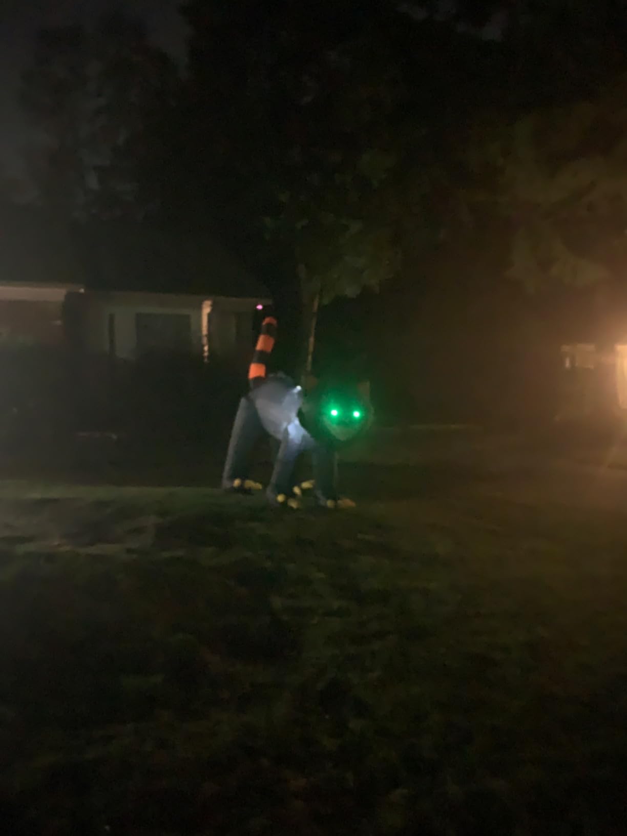 Joiedomi 7 ft Halloween Inflatables Outdoor Decoration, Blow Up Black Cat Inflatable with Moving Head & Green Eyes, Halloween Blow Ups Yard Decoration with LED Lights for Party Lawn Garden Decor customer photo 2