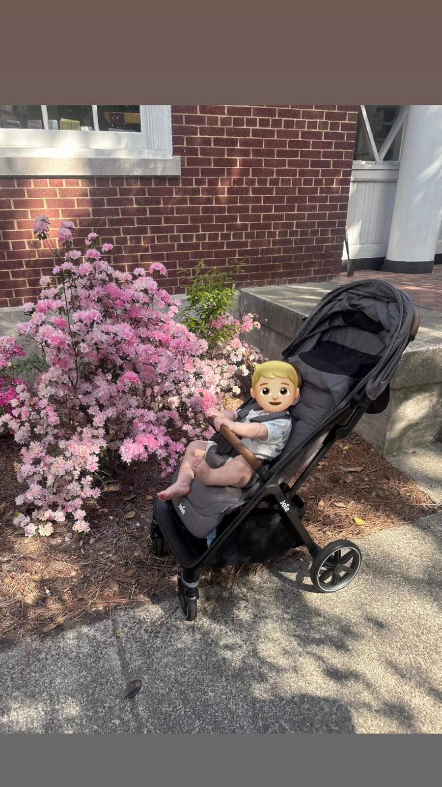 Joie Baby Nutmeg Compact Lightweight Travel Stroller, One‑Hand Fold customer photo 2