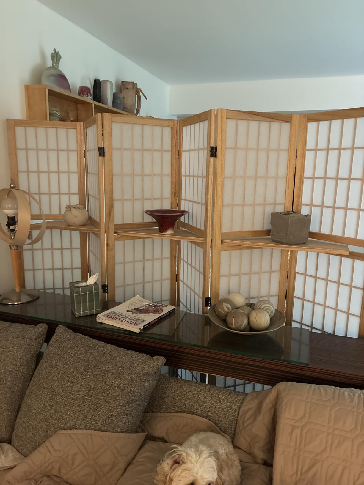 Room Divider with Shelves, 66.9-Inch Tall Japanese Shoji Style Wood Screen with Double Hinges for Home Office Bedroom Hotel Decoration (4 Panels, Natural) customer photo 1