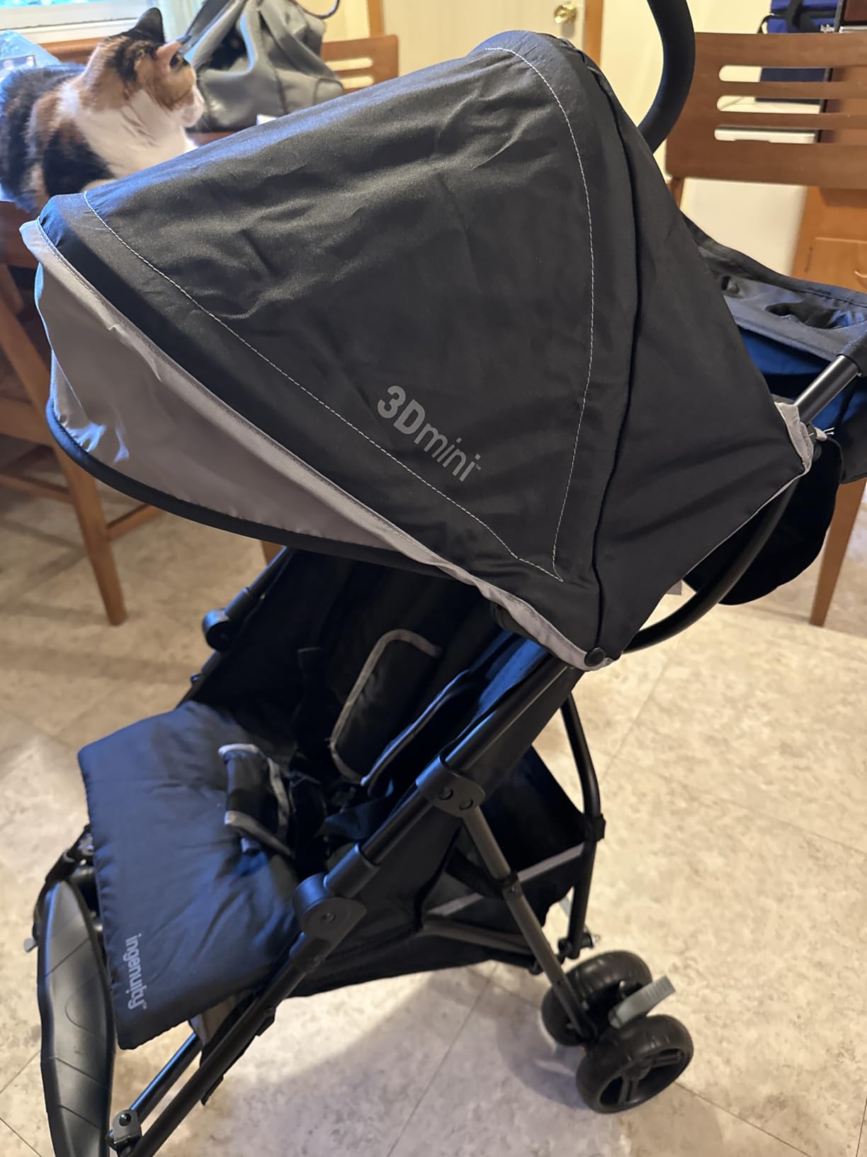 Ingenuity 3D Mini Convenience Stroller - Lightweight Stroller with Compact Fold, Multi-Position Recline, Canopy with Pop Out Sun Visor - Umbrella Stroller for Travel and More, Cashew Tan customer photo 1