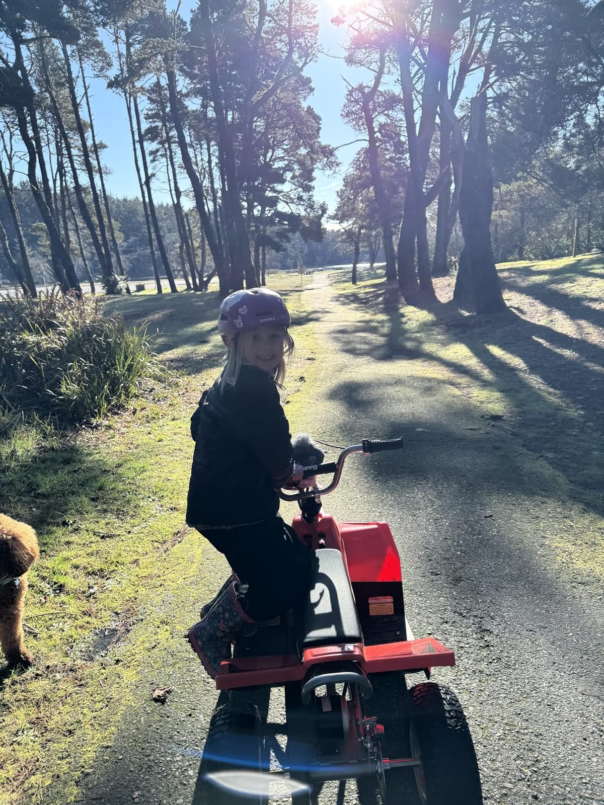 Razor Dirt Rocket Dirt Quad eBike | Electric 4-Wheeler | Iconic Wheeled Ride-On For Kids Age 8+ | Variable Speed Twist Throttle | 350W/24V Motor | Up To 8 MPH, 40 Mins; 120 Lbs customer photo 1