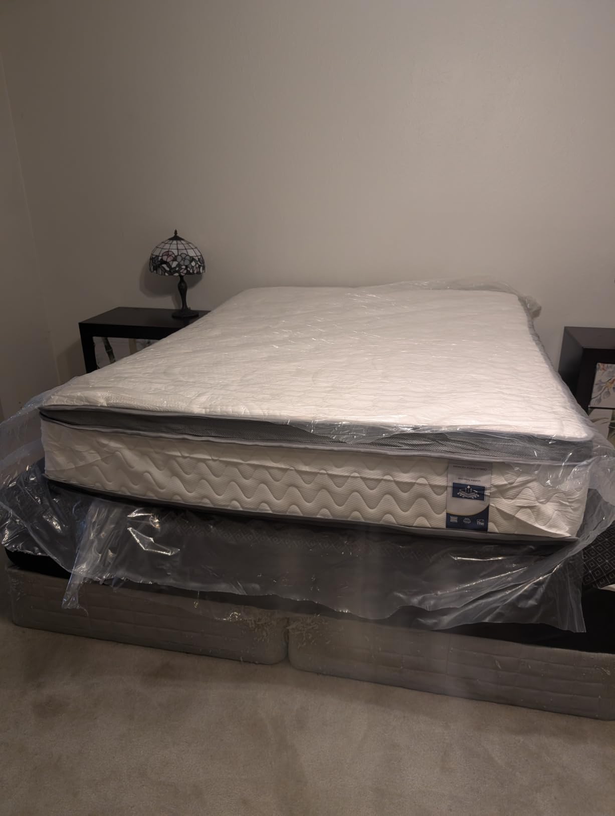 SLEEP100 Firm Queen Mattress 10 Inches - Luxury Cooling Hybrid Bed Mattress in a Box with Lumbar & Shoulder Support, Hotel Collection for Pain Relief - Fiberglass Free - 365 Night Trial customer photo 2