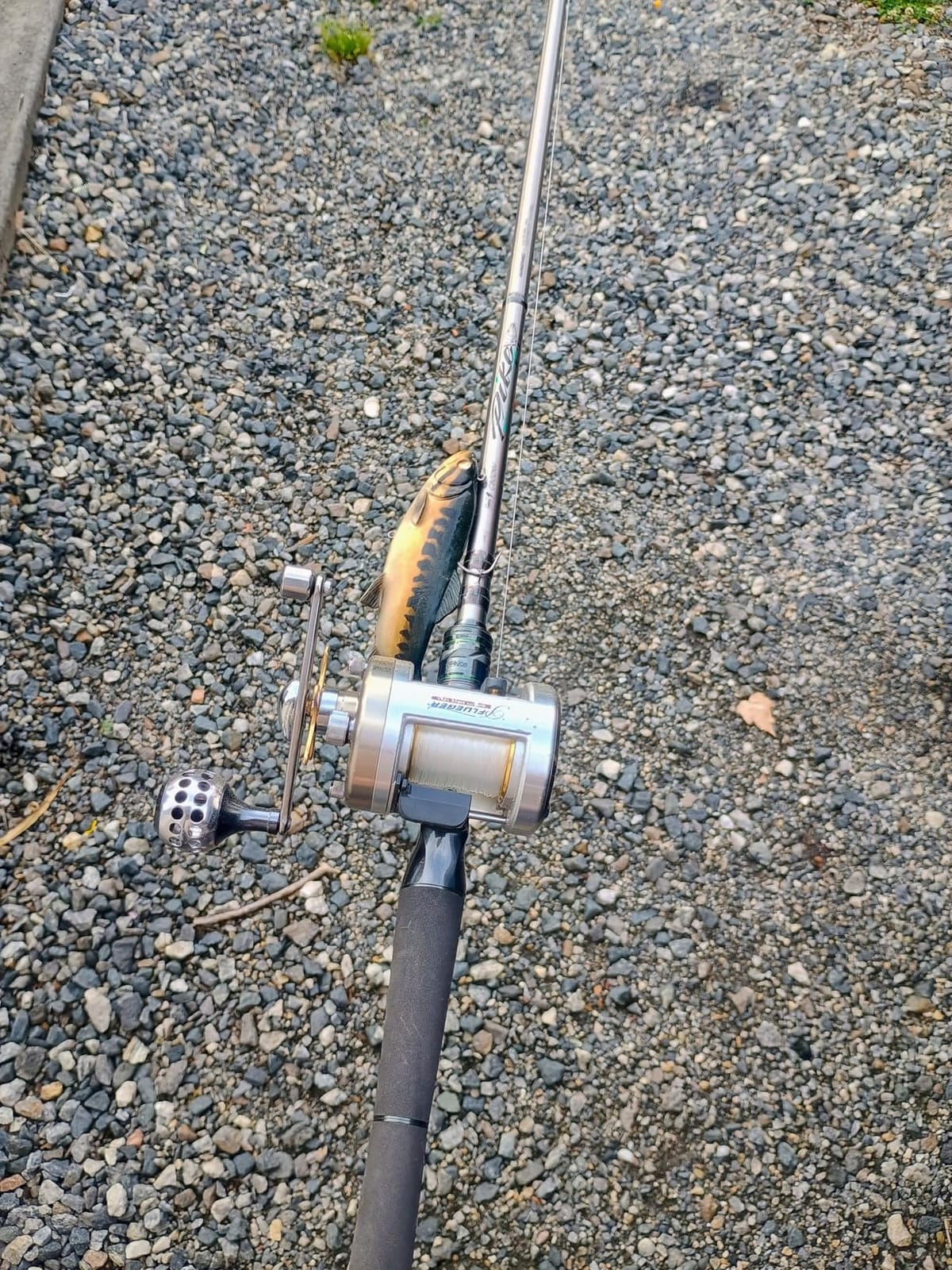 HANDING M1 Pike Heavy Casting Rod 2-Piece Musky Rod Swimbait Rod customer photo 2
