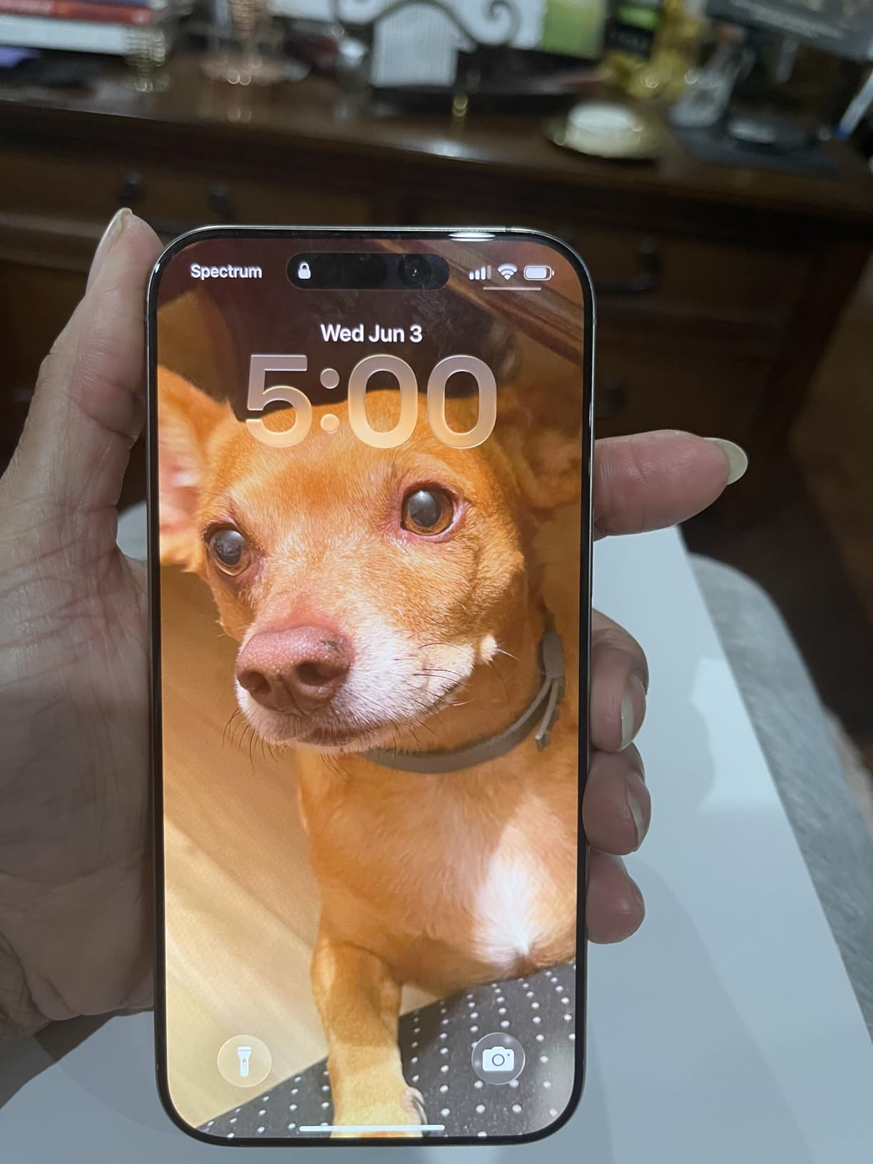 Apple iPhone (Renewed Premium) 16 Pro Max, US Version, 256GB, Natural Titanium - Unlocked customer photo 2
