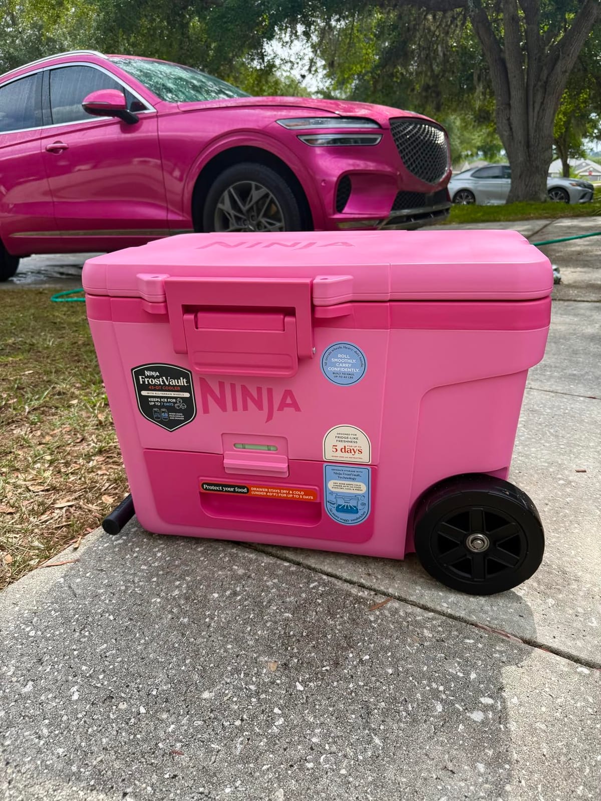 Ninja FrostVault 45qt Cooler with Wheels, Dry Storage, Lakeshore Blue customer photo 1