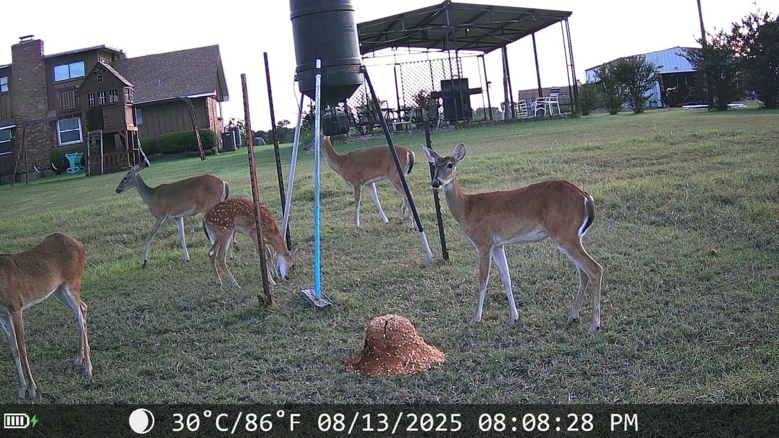 Trail Cameras with Night Vision Motion Activated - WiFi Bluetooth 4K 64MP customer photo 2