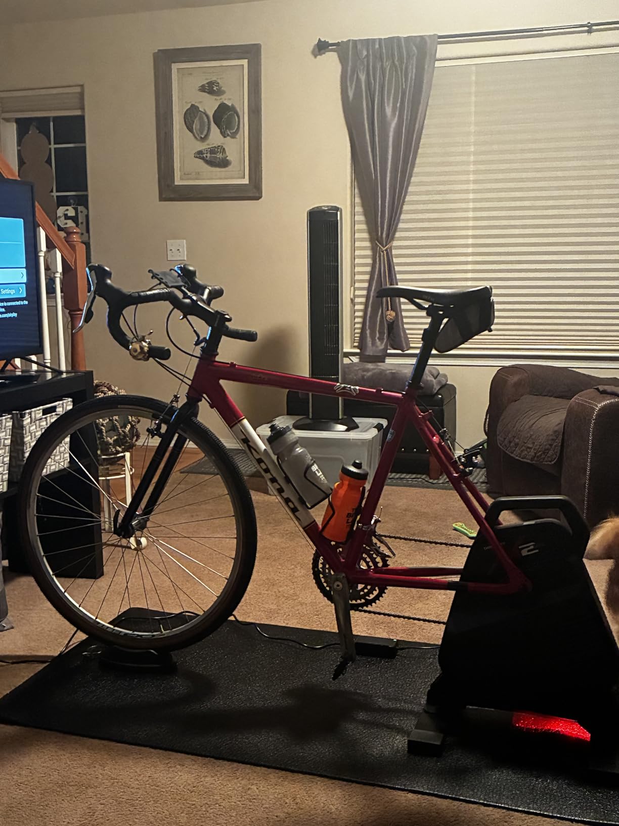 ThinkRider X2Max Smart Bike Trainer, 2000w, Simulates 18% Slope, ANT + & BLE | Cycle Trainer Bicycle Trainer, Super Quiet, Indoor, Cassette Not Included, compatible with cycling software such as ZWIFT customer photo 2