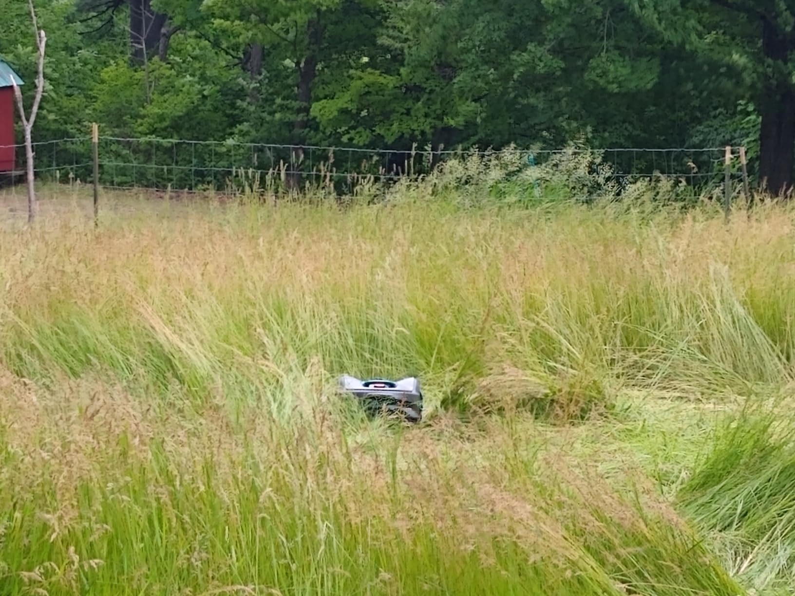 GARDENA SILENO Flex Robotic Lawn Mower, Cuts 1-4 in., 2025 in. - 15301 customer photo 1