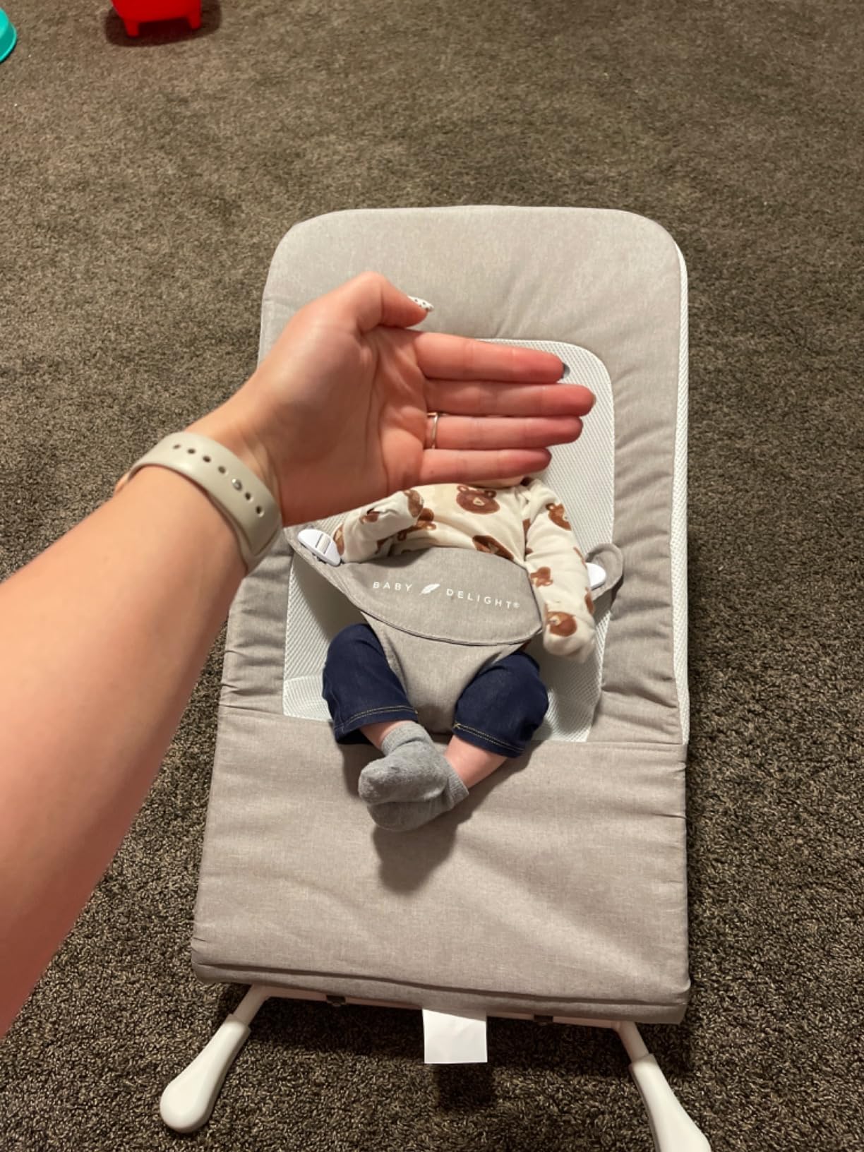 Baby Delight Highland Baby Bouncer, Sage Tweed | For Infants 0-6 Months, 3-Position Recline, Adjustable 3-Point Harness, Secure Locking Mechanism, Folds Flat customer photo 1