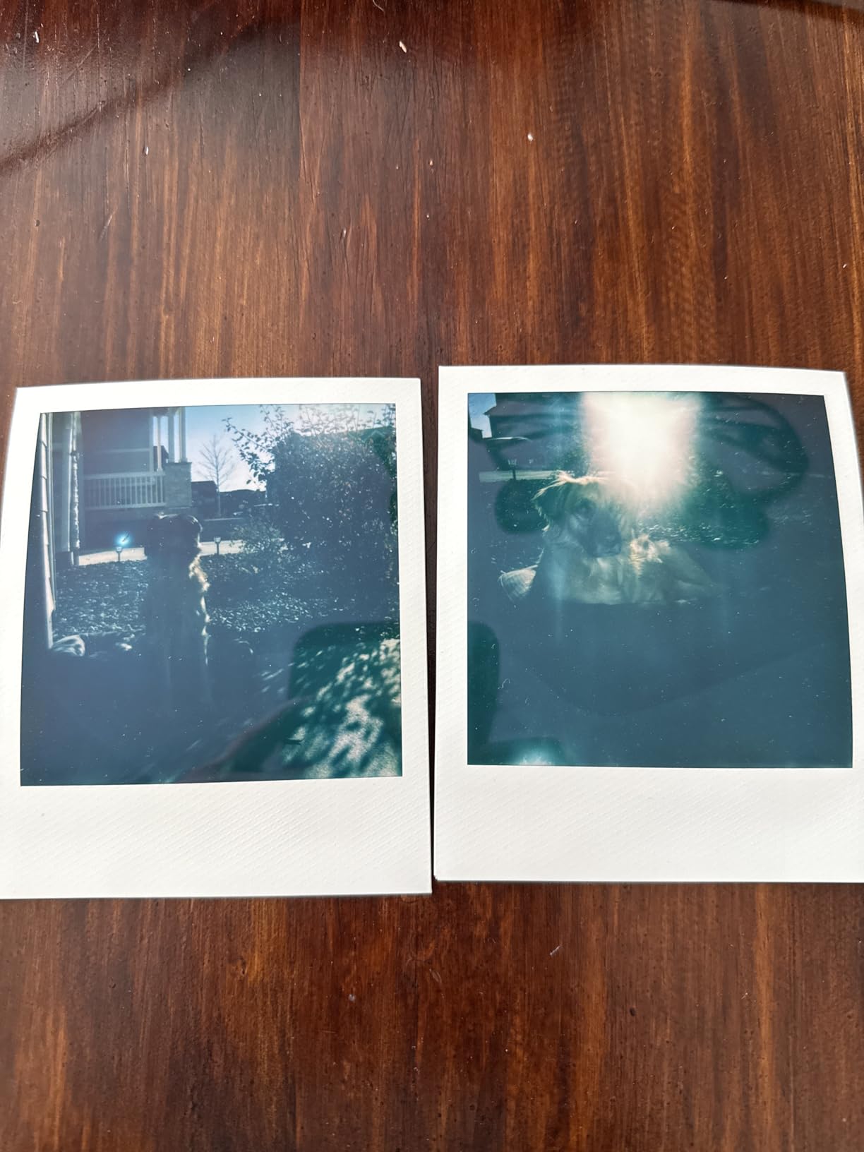 Polaroid Now+ 3rd Generation I-Type Instant Camera + Film Bundle - Now+ Bluetooth App Controlled Black Camera + 16 Color Photos (6562) customer photo 1