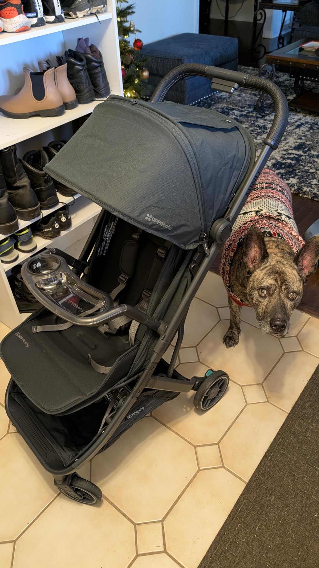 UPPAbaby Minu V3 Travel Stroller - Lightweight & Compact - Dillan customer photo 1