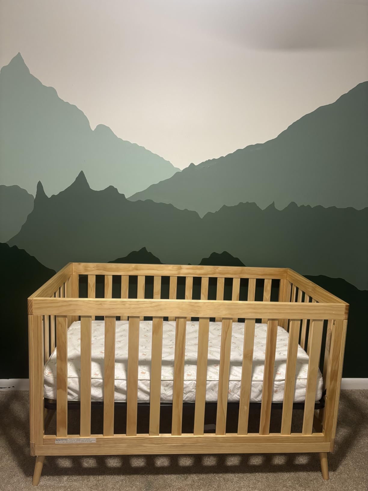 Delta Children Essex 4-in-1 Convertible Crib - Greenguard Gold Certified, Chestnut customer photo 1