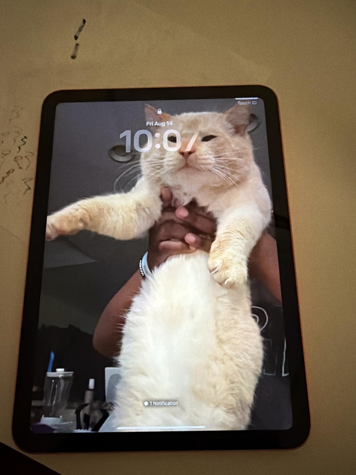 Apple iPad 11-inch: A16 chip, 11-inch Model, Liquid Retina Display, 128GB, Wi-Fi 6, 12MP Front/12MP Back Camera, Touch ID, All-Day Battery Life - Blue customer photo 2