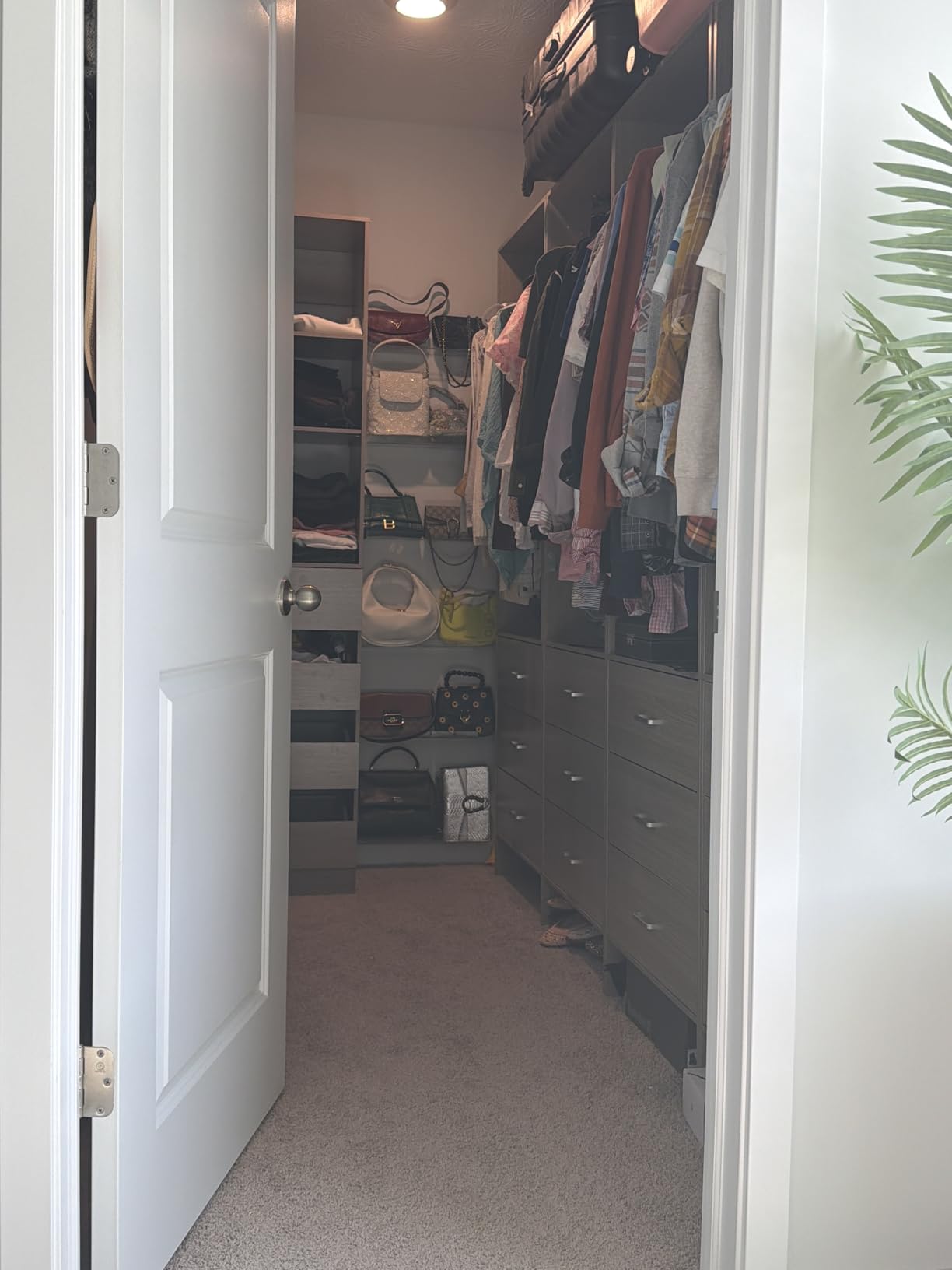 Aheaplus Closet System Closet Organizer, 8FT Closets, Set of 4,White customer photo 1