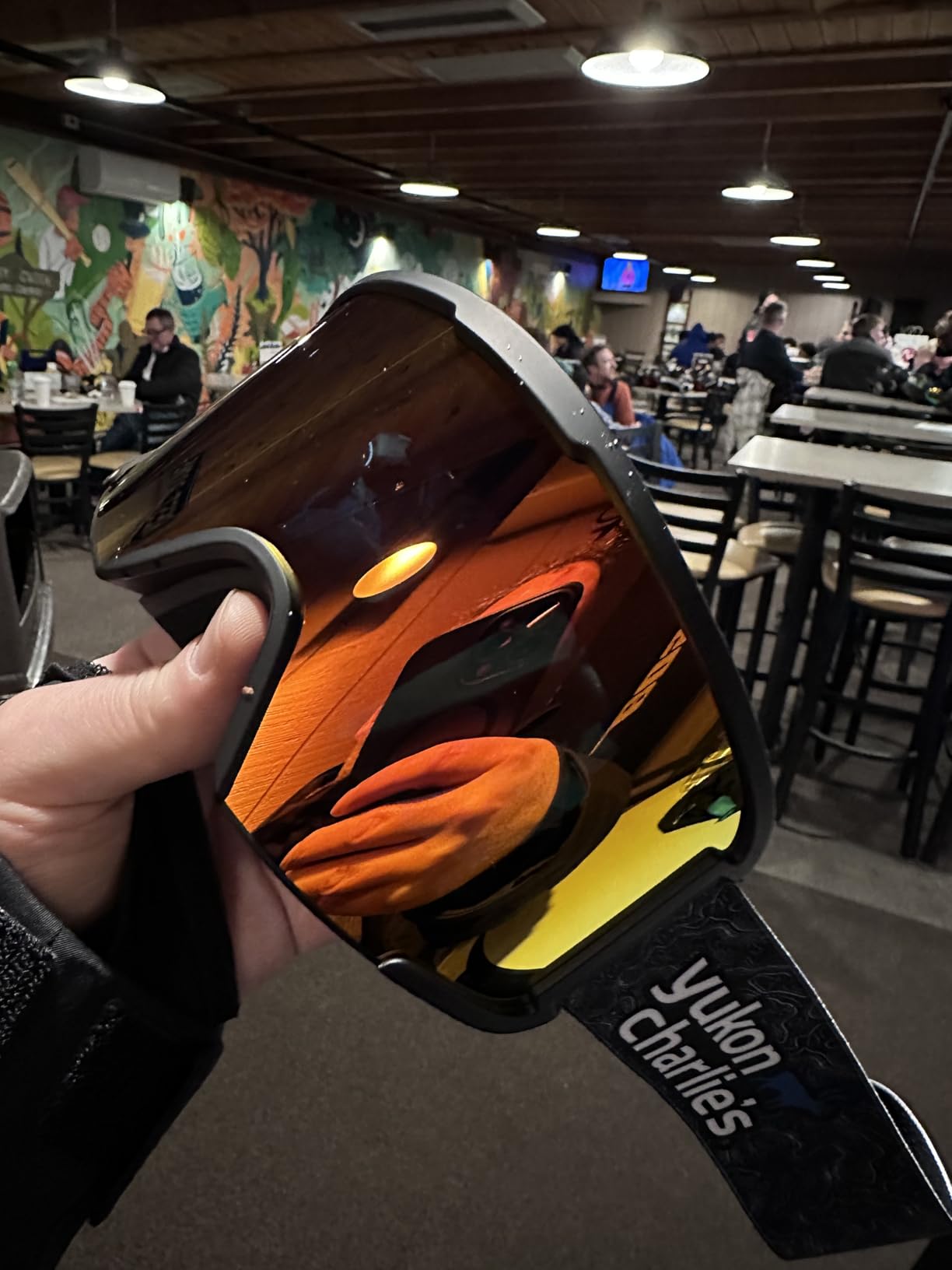 Yukon Charlie's Adult Snow Goggles - Cylindrical Lens Ski Goggles - Boosted Contrast, Reduced Glare, Anti-Fog customer photo 1