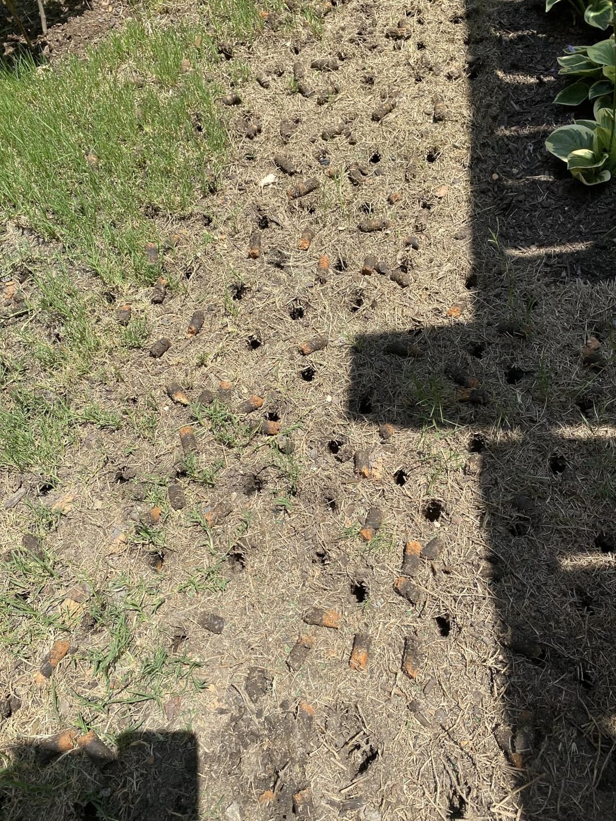 Manual Lawn Core Aerator for Compacted Soil with Non-Clogging Hollow Tines customer photo 2