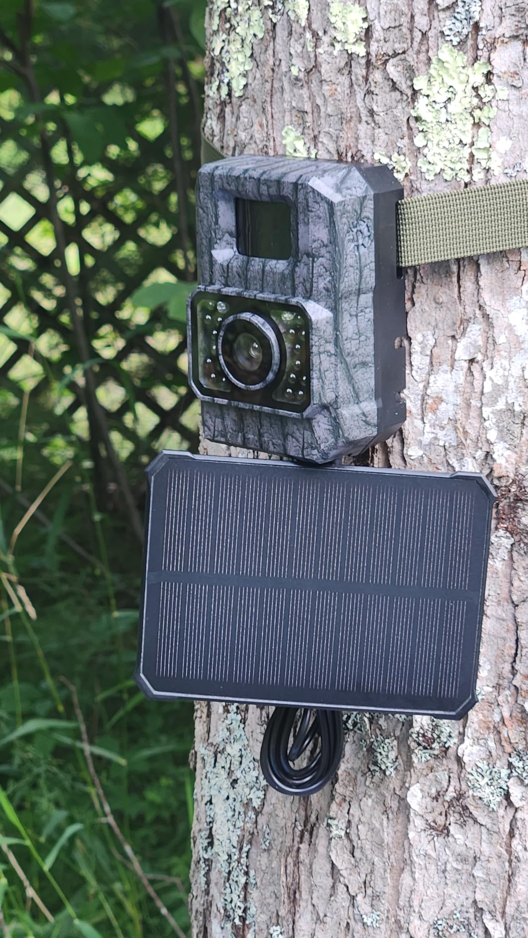 MAXDONE Solar Trail Camera, 4K 64MP WiFi Bluetooth Night Vision Game Camera | Trail Cam with Night Vision Motion Activated, 6000mAh Power & 32GB Included, Deer Cameras for Outdoor Backyard IP66 customer photo 1