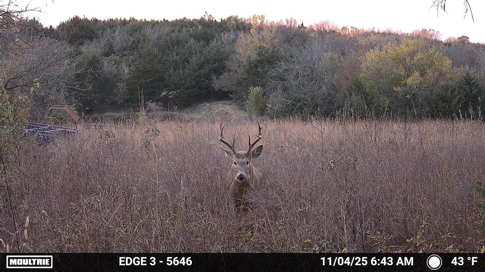 Moultrie Edge 3 Cellular Trail Camera - 40MP, 0.5s Trigger | Scout from Anywhere, HD photos via Mobile app, 1080p video, multi-carrier, low-glow flash, GPS, AI detection customer photo 1
