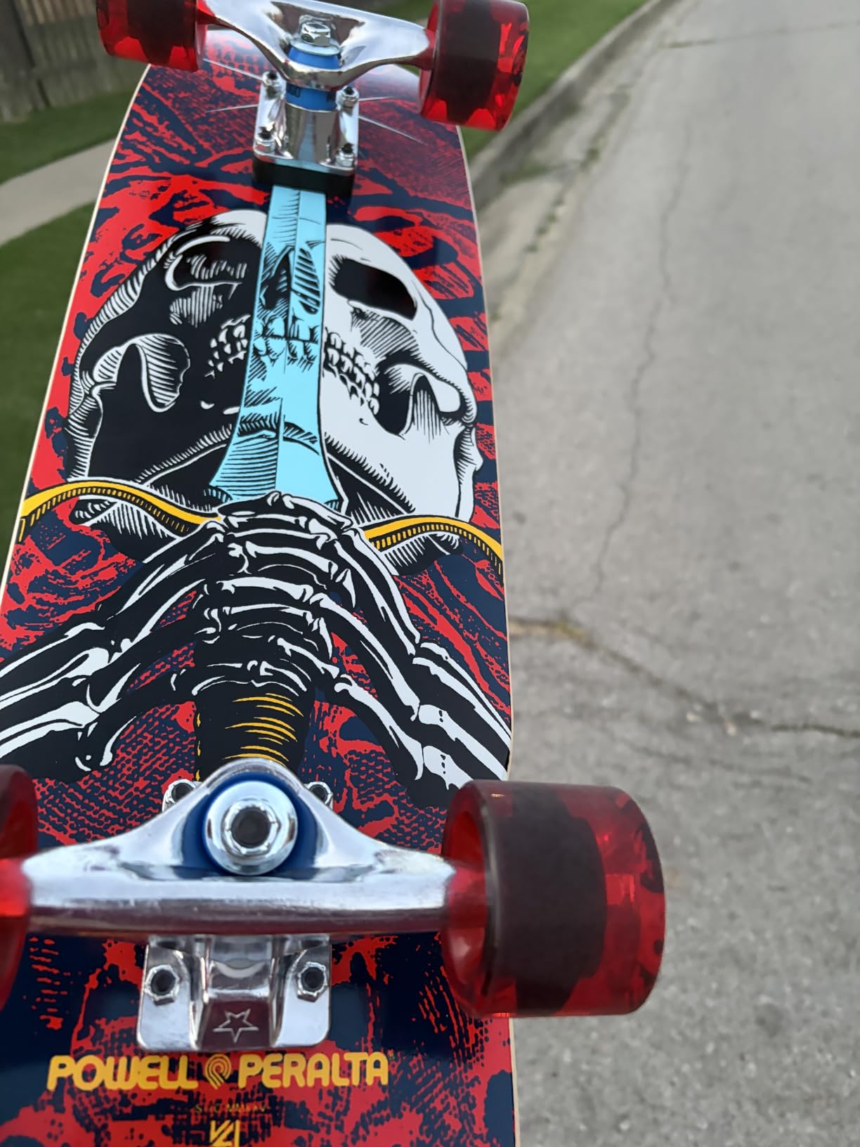 Powell Peralta Mini Ray Rodriguez Skull & Sword Skateboard Cruiser Complete, Navy/Red, 8.0