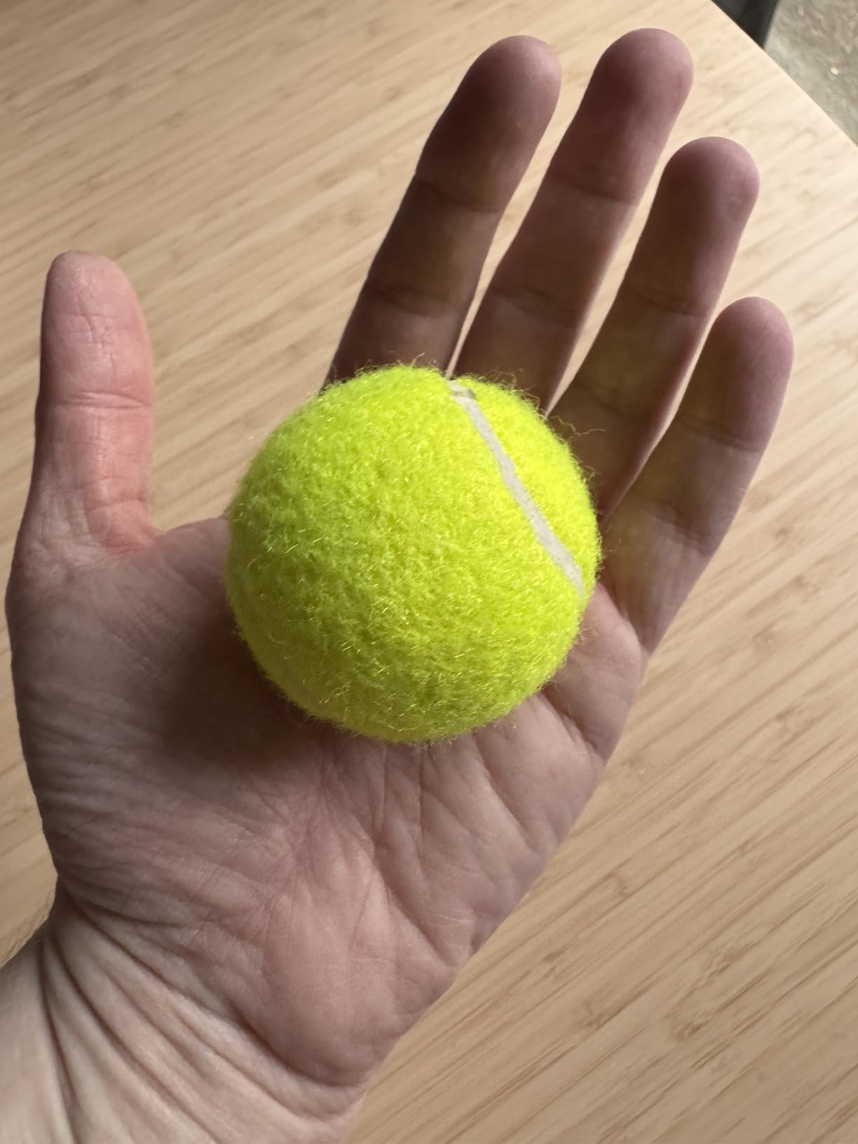 Automatic Dog Ball Launcher, with 6 2.3