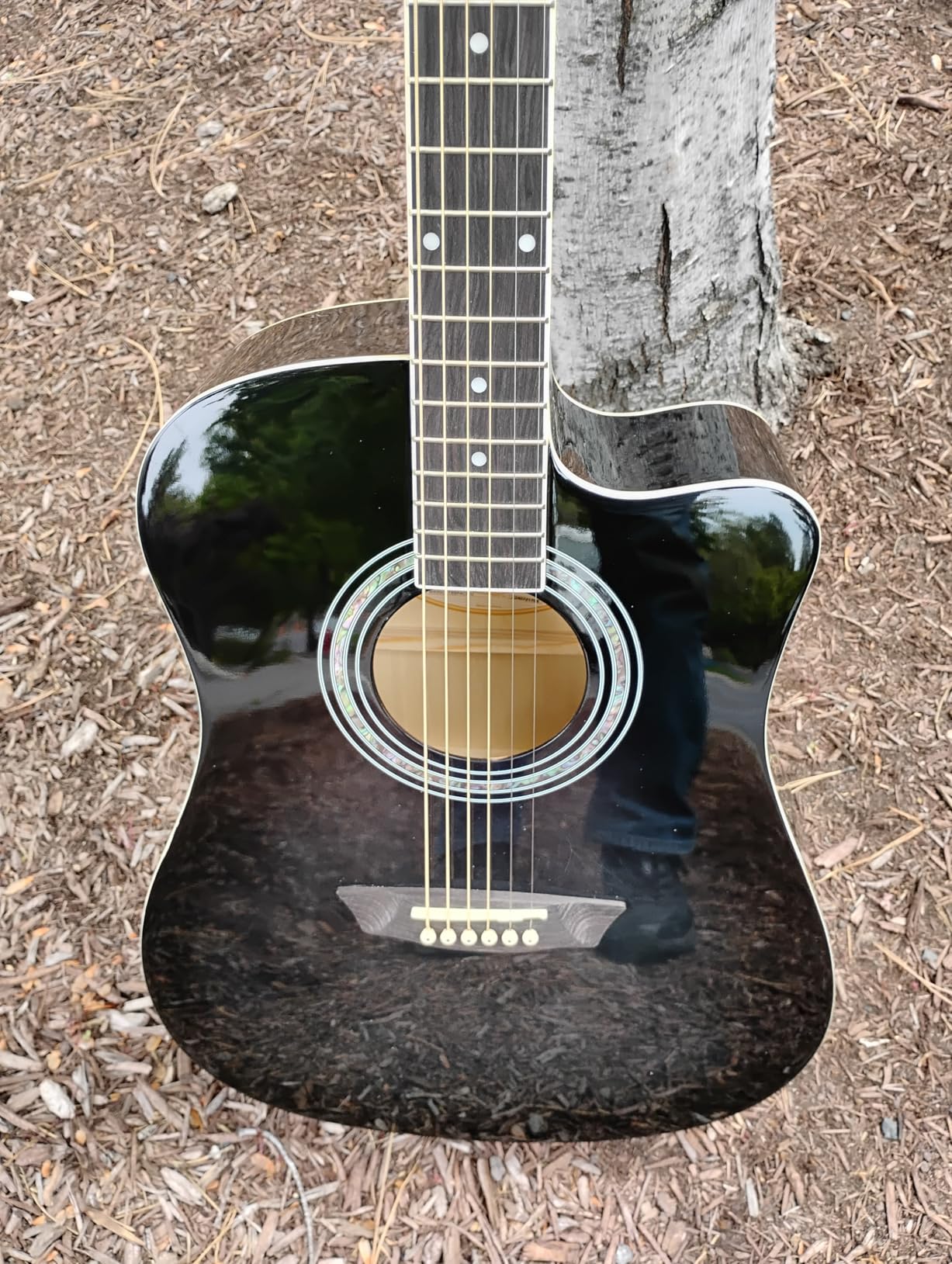 Washburn WA90CE Acoustic-Electric Guitar Kit Tobacco Burst customer photo 2
