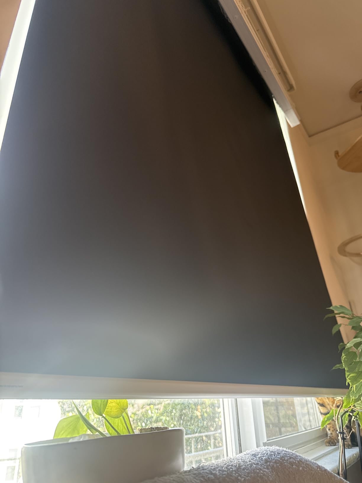 Motorized Blinds with Remote, Blackout Cooling Automatic Shades with Solar Panel Cordless Smart Blinds for Windows, Custom Electric Blinds Horizontal Roller Shades,Black,35