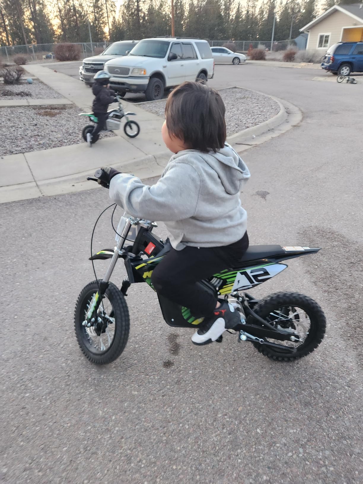 HP112E PRO 36V 1000W Electric Dirt Bike E Motorcycle for Kids, Green | UL2272 SGS Certified, 3 Speed Modes, Max Speed 20 MPH, 19 Miles Range, Dual Suspension Disc Brakes, 16