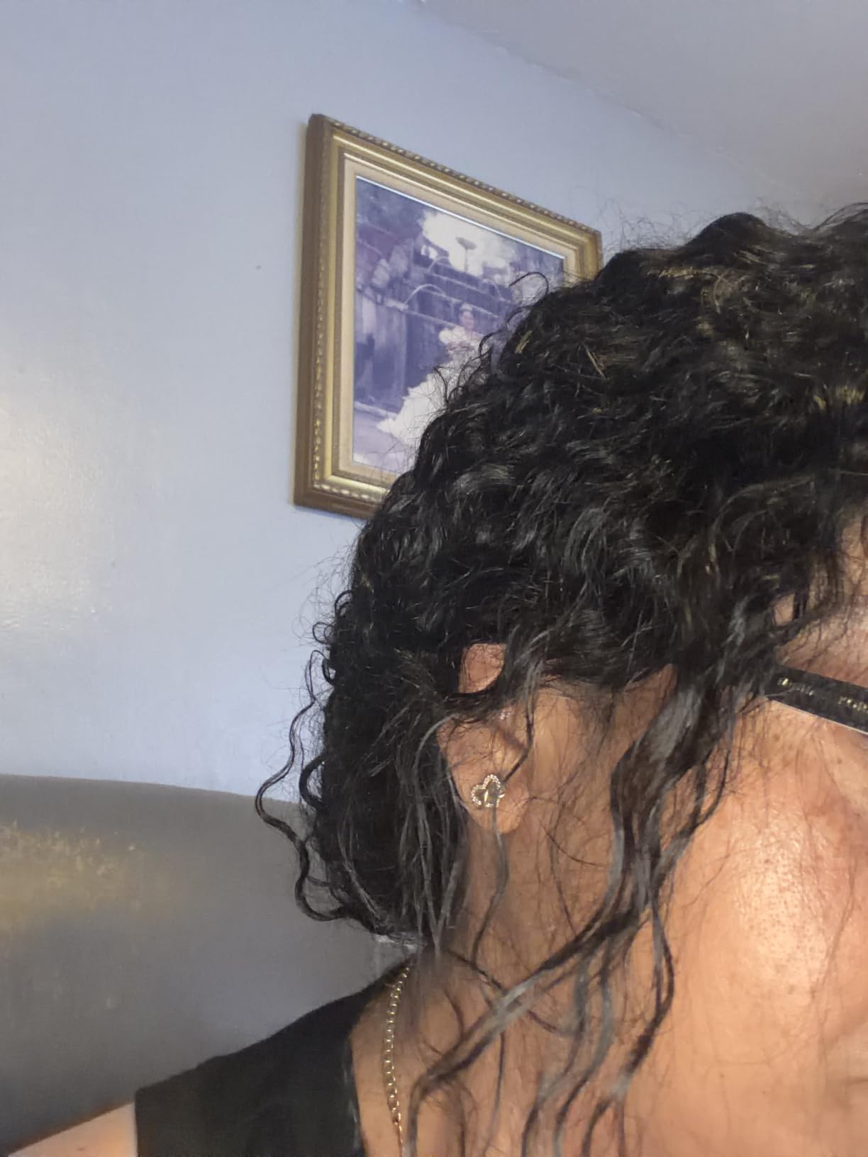 Burmese Curly Wig Human Hair 13x6 Lace Front Wigs Human Hair 250 Density HD Lace Frontal With Drawstring Wigs Pre Plucked Virgin Remy Hair with Spiral End Natural Color 20 Inch customer photo 1