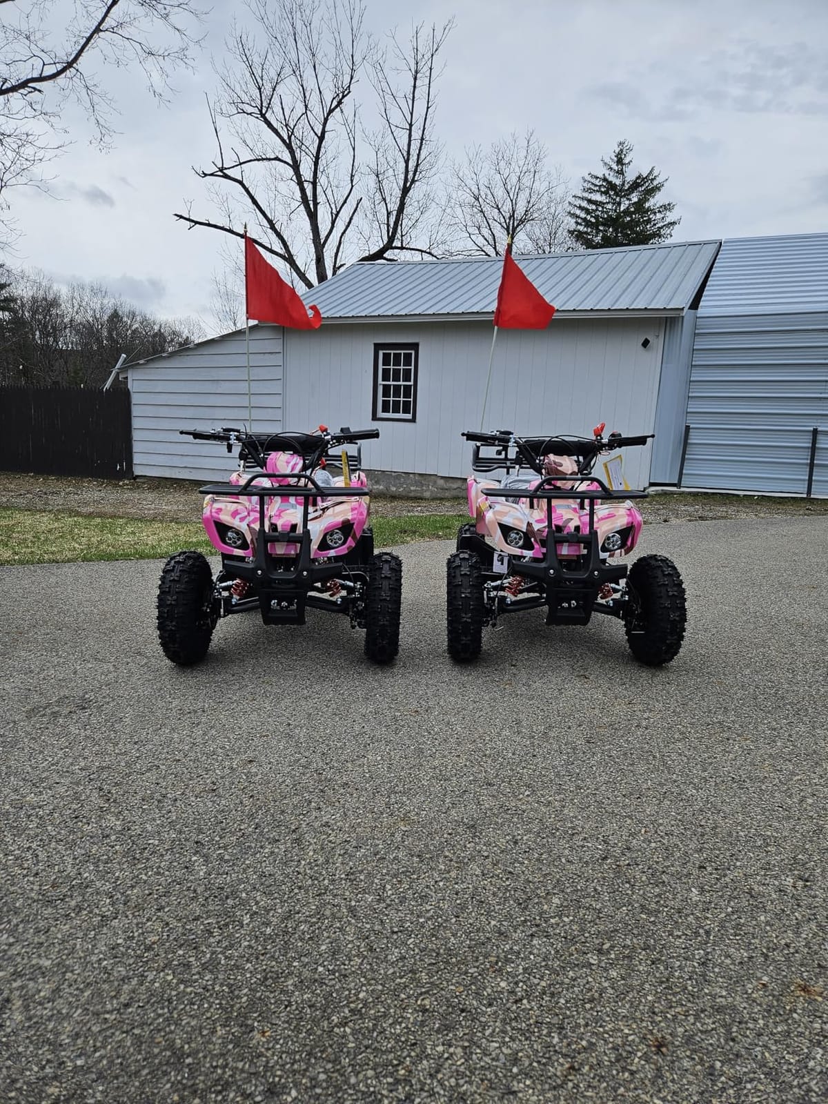 X-PRO Kids Gas Powered ATV 4 Wheelers 40cc ATV Quads, Pull Start! Disc Brake! 6