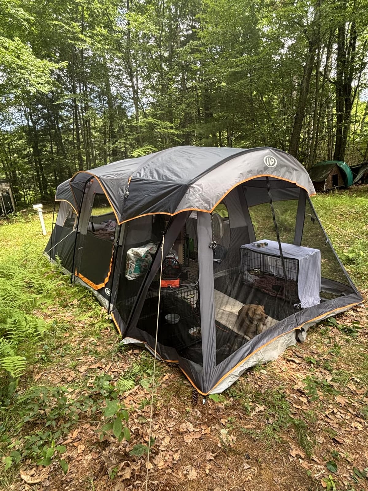 UNP Camping Tent 8 Person Waterproof Big Tunnel Tent with Screen Porch customer photo 1