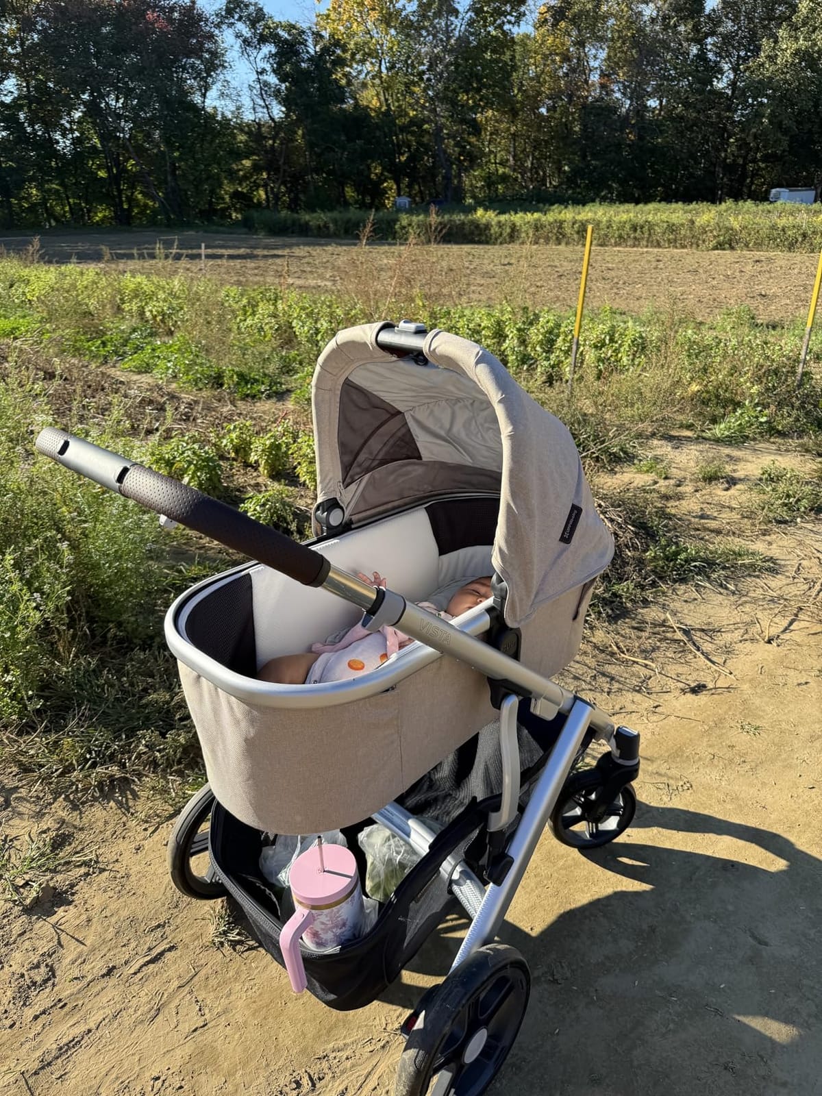 UPPAbaby Vista V3 Convertible Single-to-Double Stroller - Ada customer photo 2