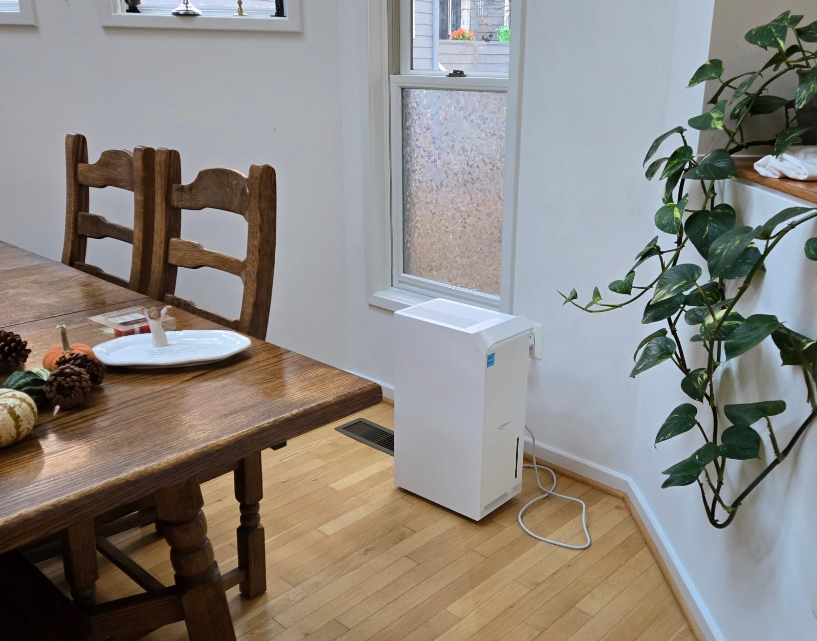 6000 Sq Ft ENERGY STAR Most Efficient Dehumidifier with Pump for Basement customer photo 1