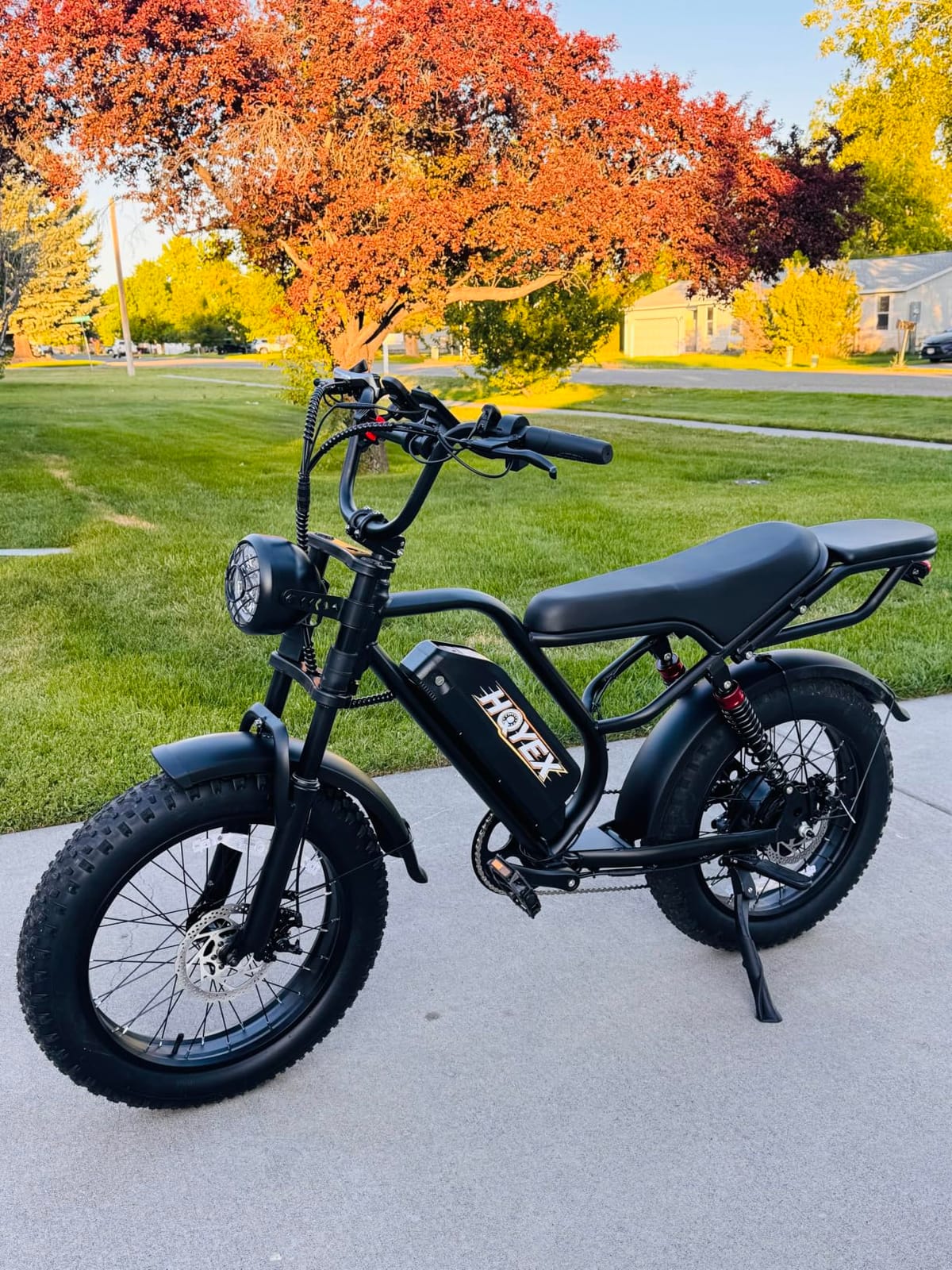 Electric Bike for Adults, 1500W Brushless Motor Ebike, 20