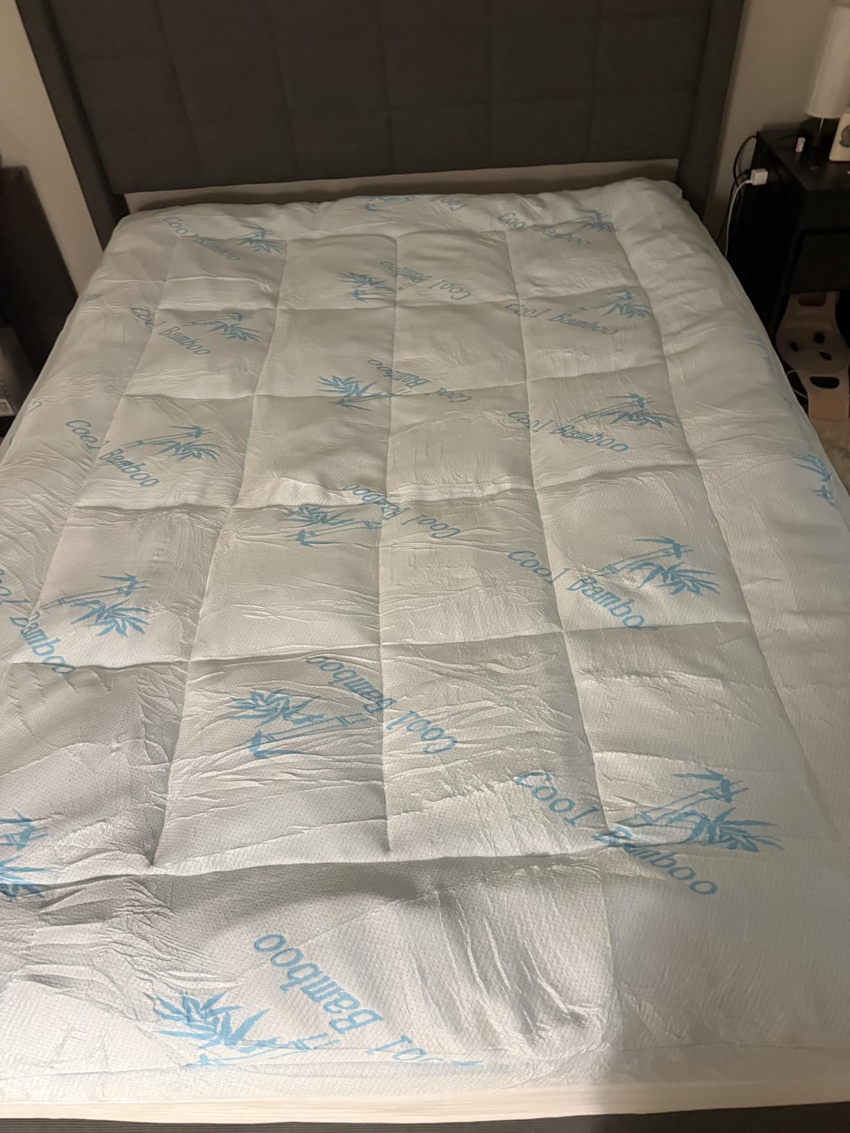 DOWNCOOL 100% Waterproof Queen Mattress Topper, Viscose Derived from Bamboo customer photo 1