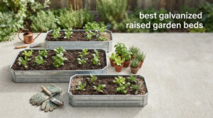 best galvanized raised garden beds