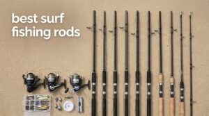 best surf fishing rods
