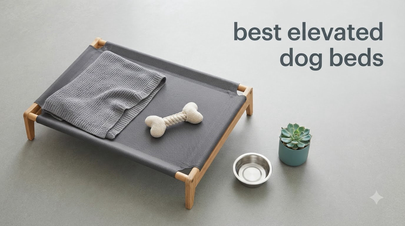 best elevated dog beds