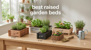 best raised garden beds